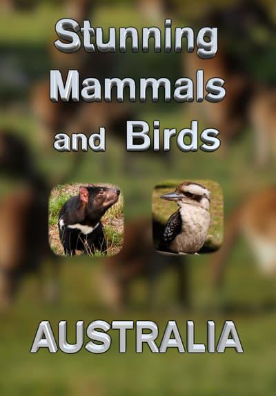 Movie poster for Stunning Mammals and Birds: Australia