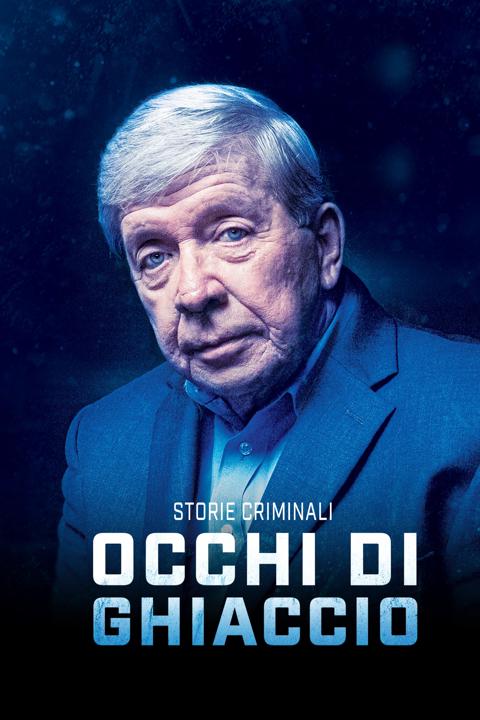 Movie poster for Homicide Hunter: Never Give Up