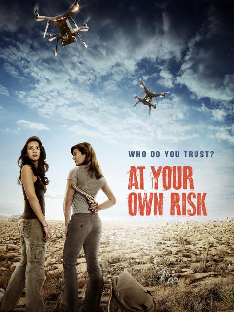 Movie poster for At Your Own Risk