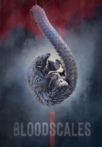 Movie poster for Blood Scales