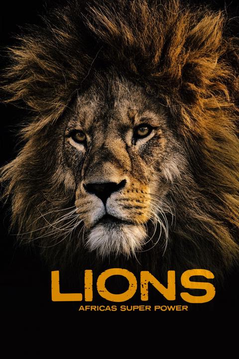 Poster för Lions: The Hunt for Survival