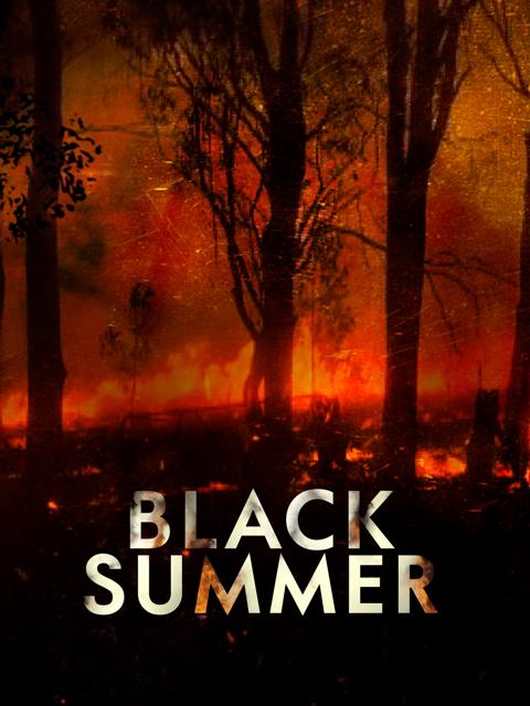 Movie poster for Black Summer