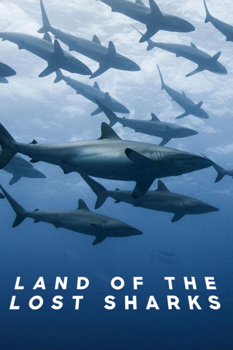 Poster för Extinct or Alive: The Lost Shark