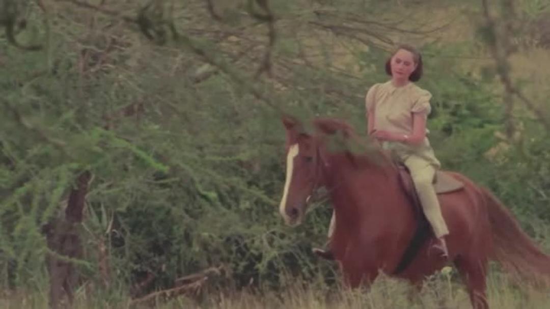 Background image for The Happy Valley