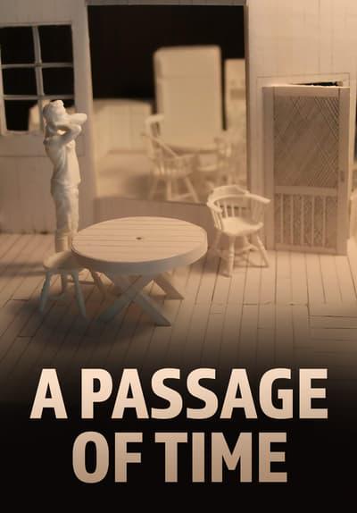 Movie poster for A Passage of Time