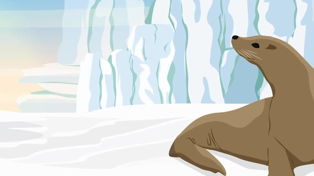 Background image for Pup School: Arctic Adventure