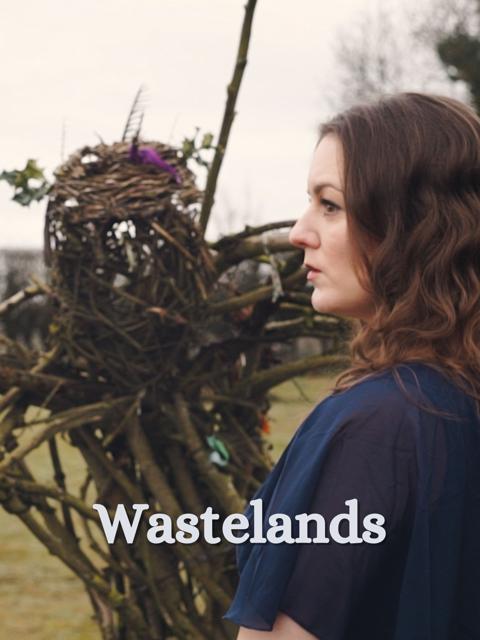 Movie poster for Wastelands