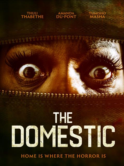 Movie poster for The Domestic