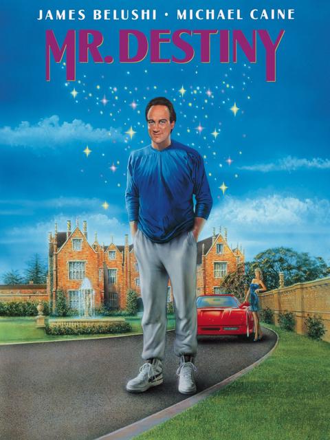 Mr. Destiny