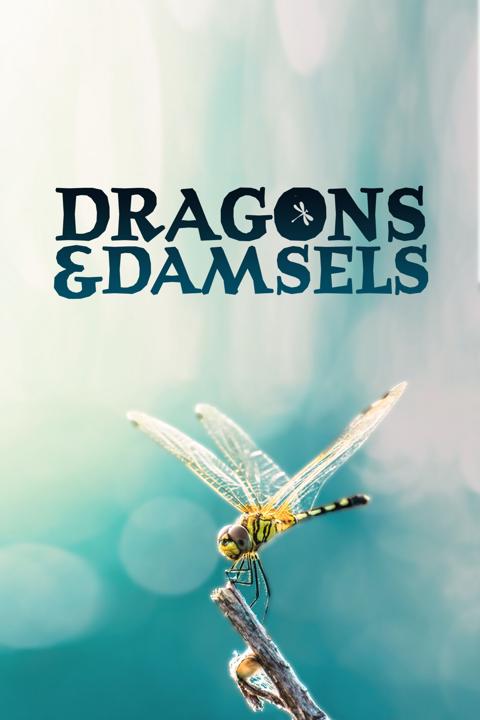 Poster för Dragons and Damsels