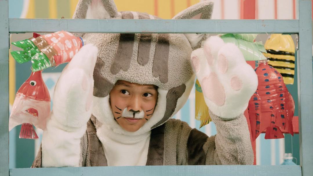 Background image for Shiba San and Meow Chan