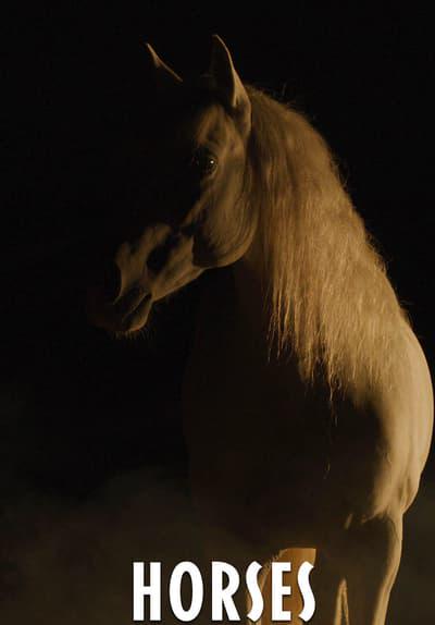 Movie poster for Horses: Patti Smith and Her Band