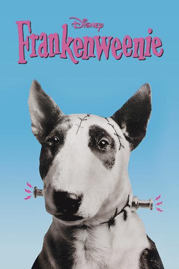 Frankenweenie poszter