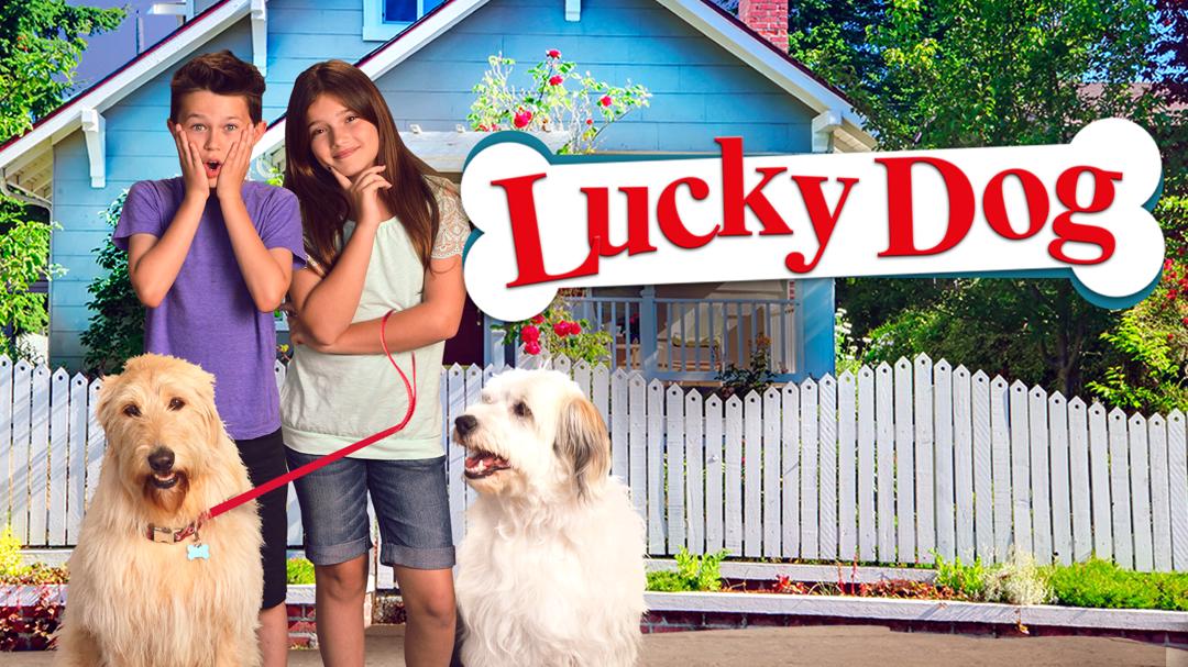 Lucky Dog