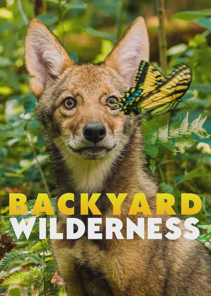 Poster för Backyard Wilderness