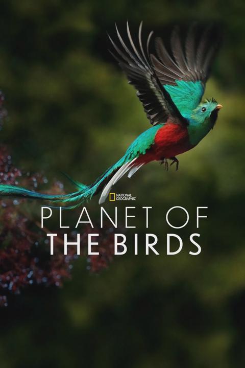 Poster för Planet of the Birds