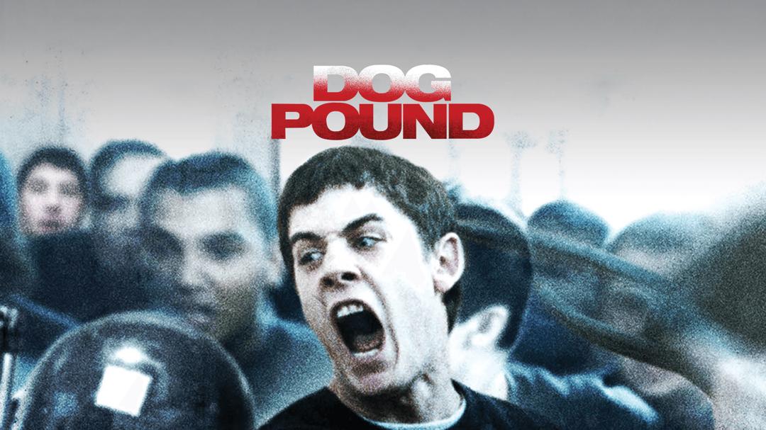 Dog Pound