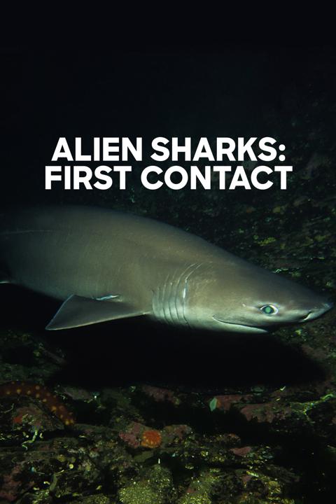 Movie poster for First Contact: An Alien Encounter