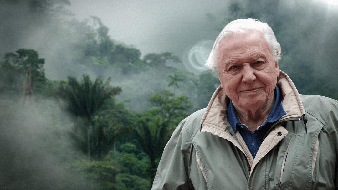Background image for David Attenborough's Natural Curiosities