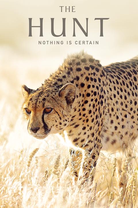 Poster för The Hunt