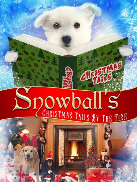Movie poster for Snowball's Christmas Tails By the Fire