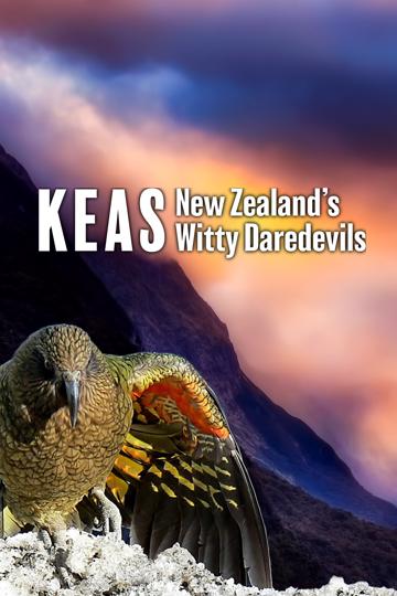 Keas - New Zealand's Witty Daredevils poszter