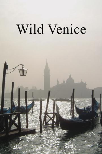 Wild Venice poszter