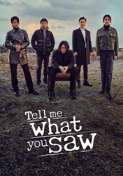 Series poster for Tell Me What You Saw