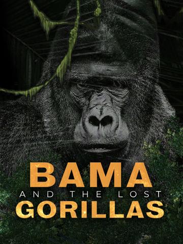 Bama and the Lost Gorillas poszter