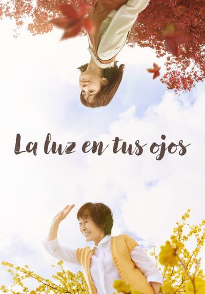Poster för The Light in Your Eyes