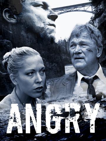 Angry poszter