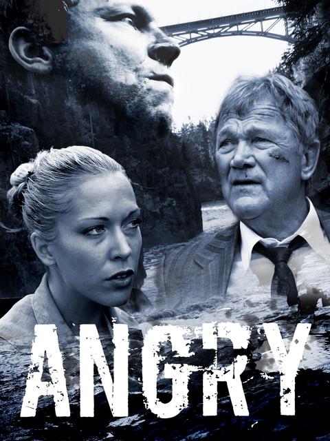 Movie poster for Angry
