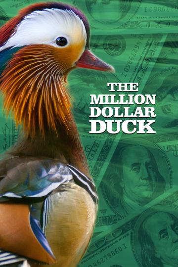 The Million Dollar Duck poszter