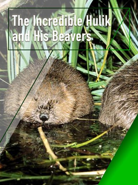 Poster för The Incredible Hulik and His Beavers