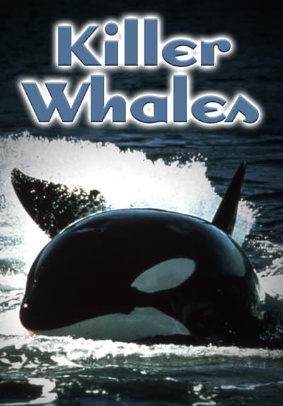 Movie poster for Killer Whales: Up Close and Personal