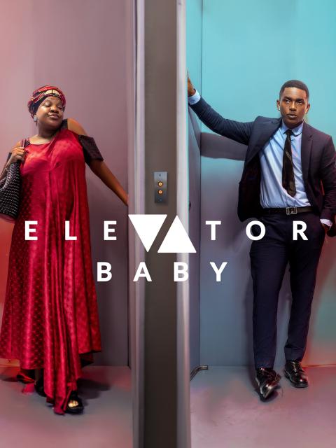 Movie poster for Elevator Baby