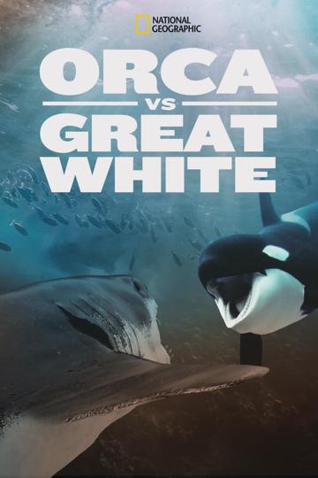 Orca Vs. Great White poszter