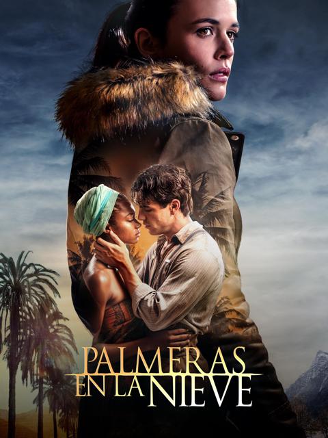 Palm Trees in the Snow