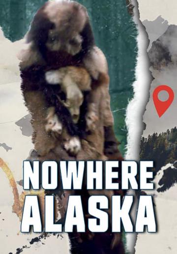 Nowhere Alaska poszter