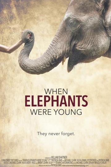When Elephants Were Young poszter