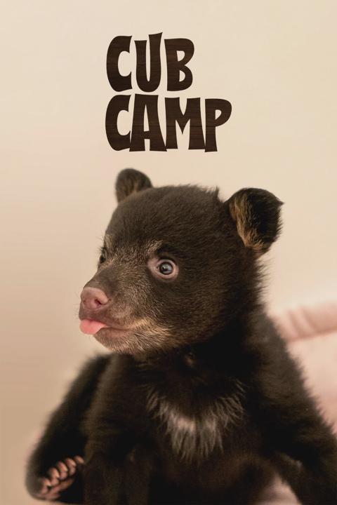 Series poster for Cub Camp