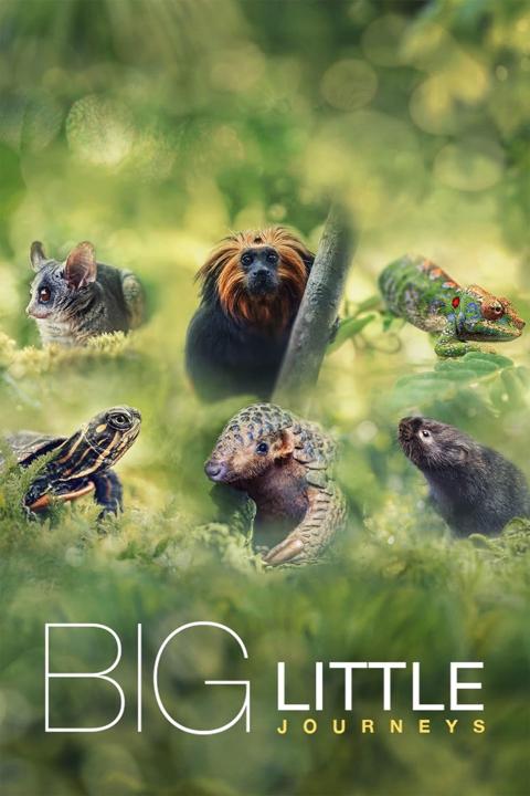 Series poster for Big Little Journeys