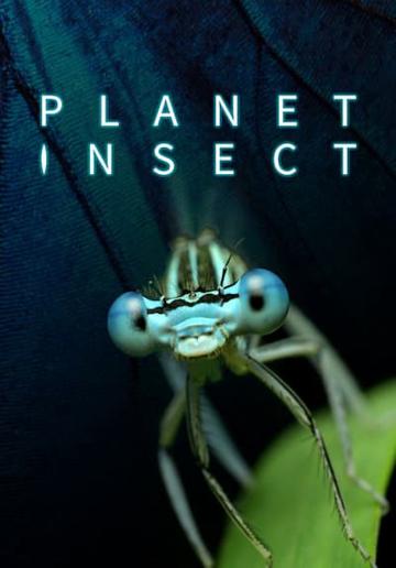 Planet Insect poszter