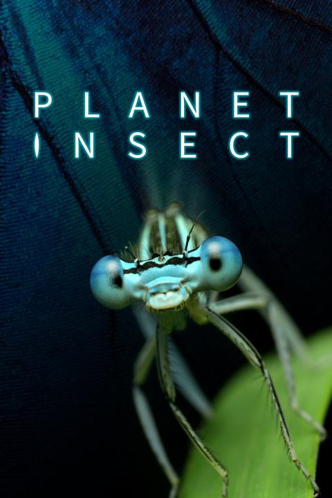 Poster för Planet Insect