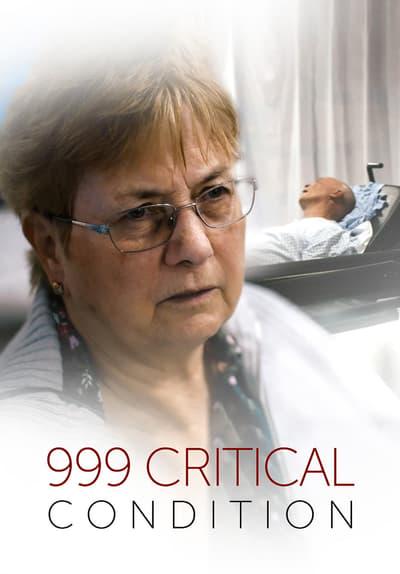 Series poster for Critical Condition