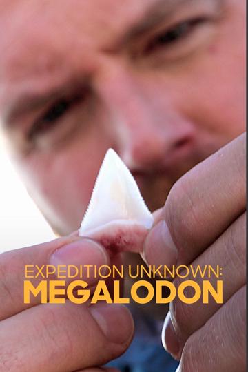 Expedition Unknown Megaladon poszter