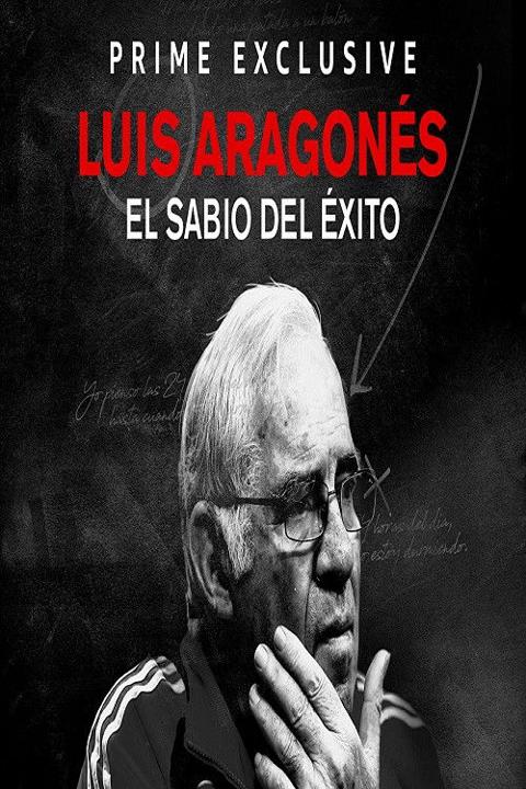 Poster för Luis Aragonés, el sabio del éxito