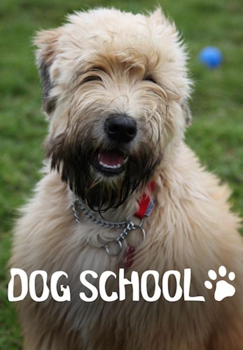 Series poster for Dog School