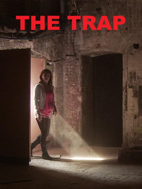Movie poster for The Trap