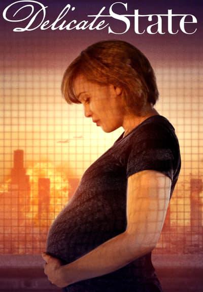 Poster för Delicate State